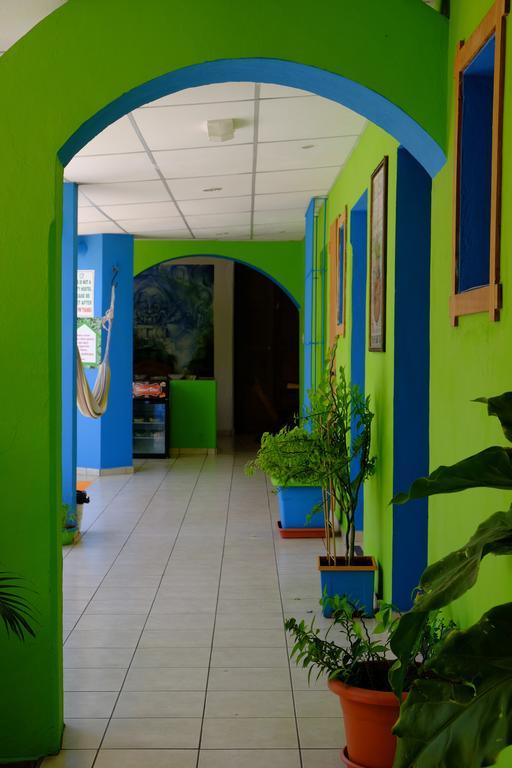Hostal Casa Verde Santa Ana Exterior photo